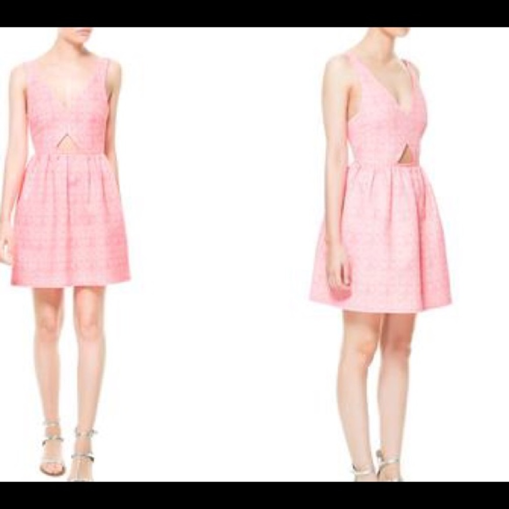 Zara Trafaluc Cutout dress